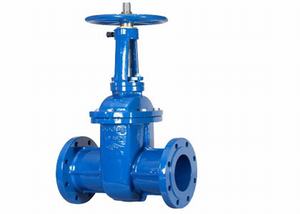 DIN cast iron F5 Rising stem gate valve